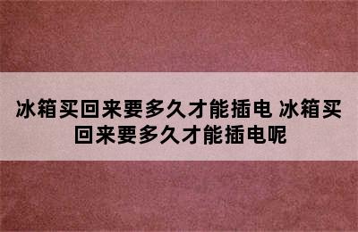 冰箱买回来要多久才能插电 冰箱买回来要多久才能插电呢